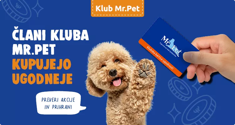 Članske akcije
